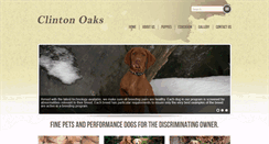 Desktop Screenshot of clintonoaks.com